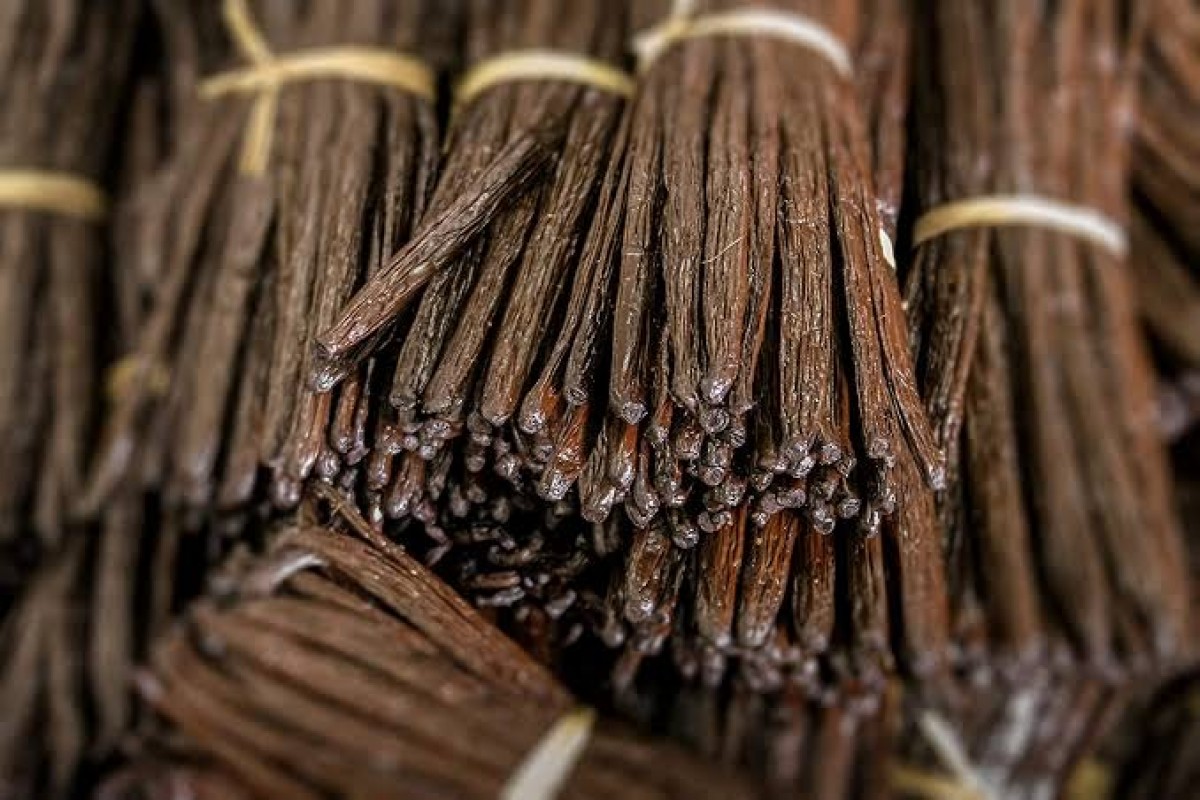 Vanilla from Tanzania